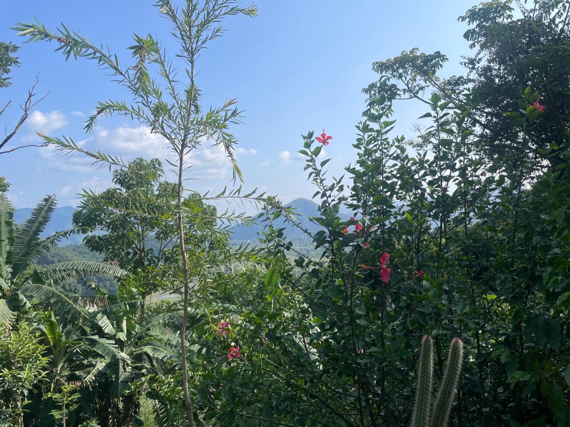 Himalaya Serene View Guest House & Farm Stay Deorāli Extérieur photo