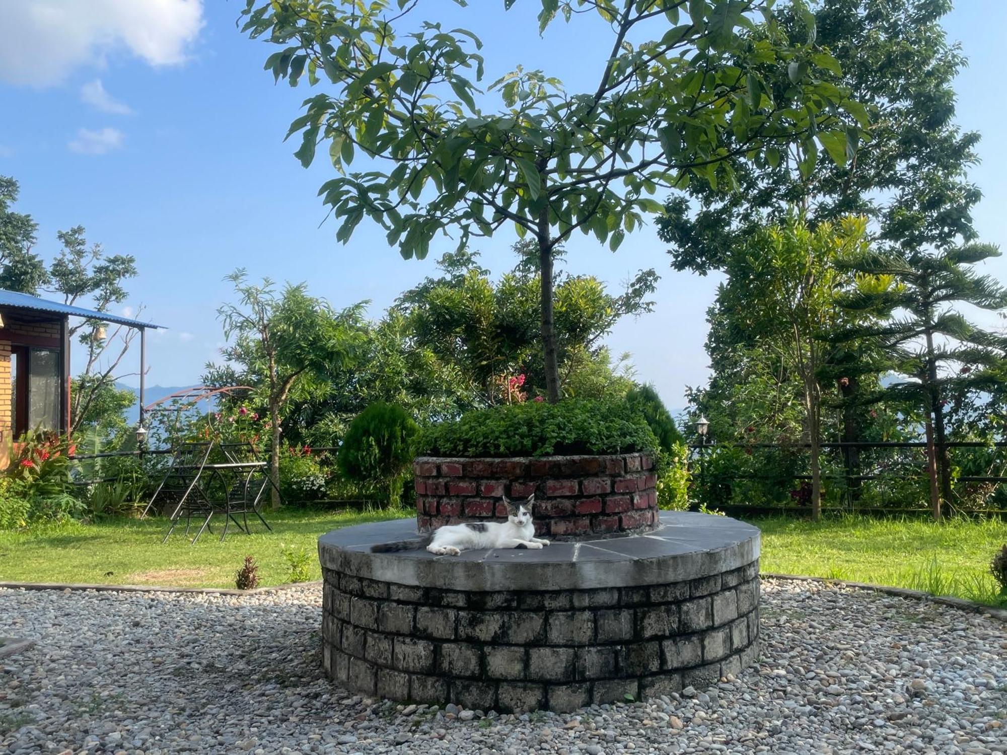 Himalaya Serene View Guest House & Farm Stay Deorāli Extérieur photo